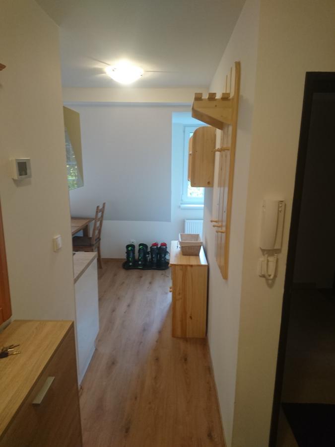 Ubytovani U Javoru 232/9 Pec pod Snezkou Exterior foto